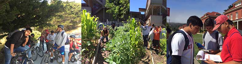 photos of youth activists working out in the community, talking to neighbors, gardening, and doing cleanups