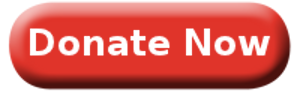 Donate now button