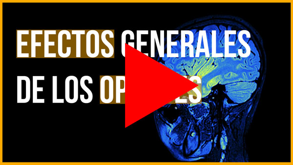 A spanish-language video that helps you understand opioids