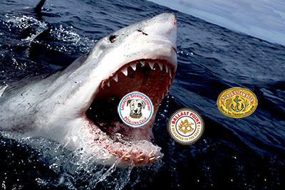 AB InBev has dead eyes, like a doll's eyes.