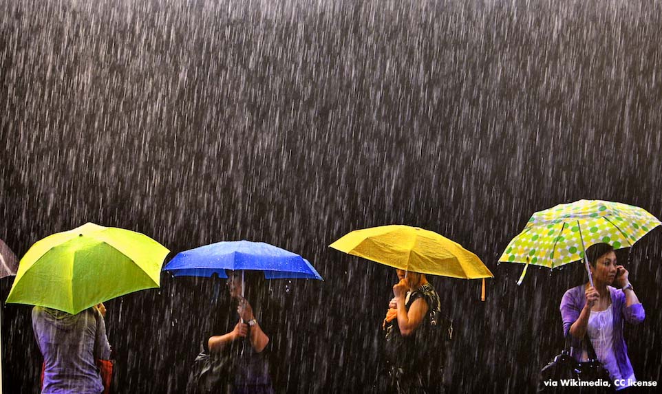 Tropical downpour CC