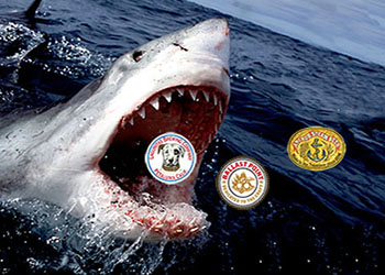 AB Inbev has black eyes like a doll's eyes