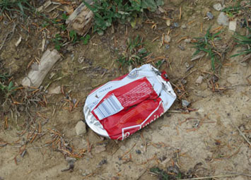 A crushed beer can on a forest floor