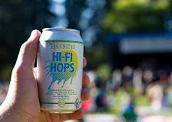 HiFi hops obey the letter but not the spirit of the law and keep alcohol afloat another day