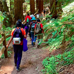the kids are taking to the woods and befriending small animals because this is Marin